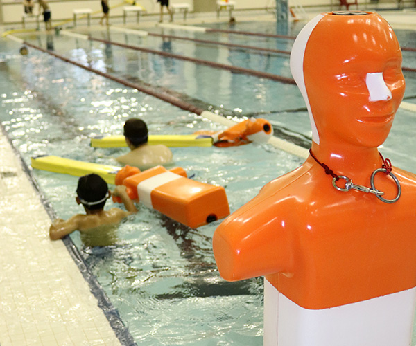 people in swimming pool