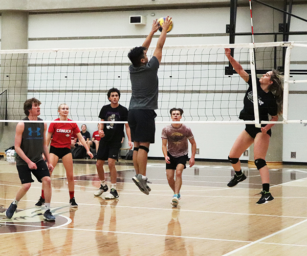 students playing volleyball